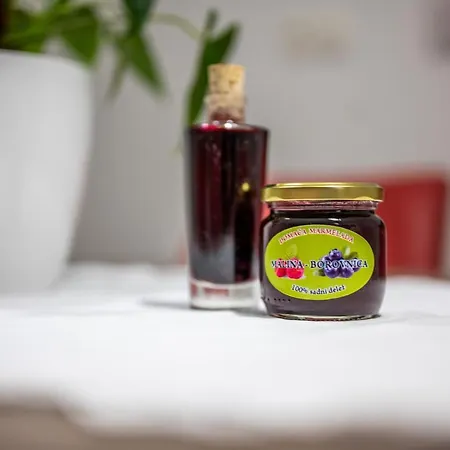 Apartma Tia 2 Апартаменты Зрече