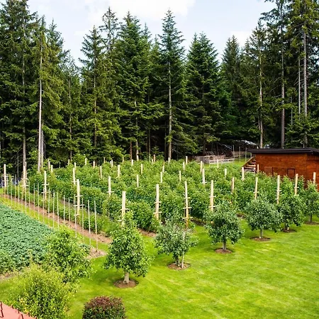 Apartma Tia 2 * Zrece