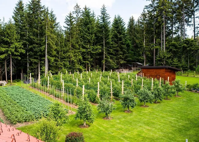 Apartma Tia 2 * Zreče